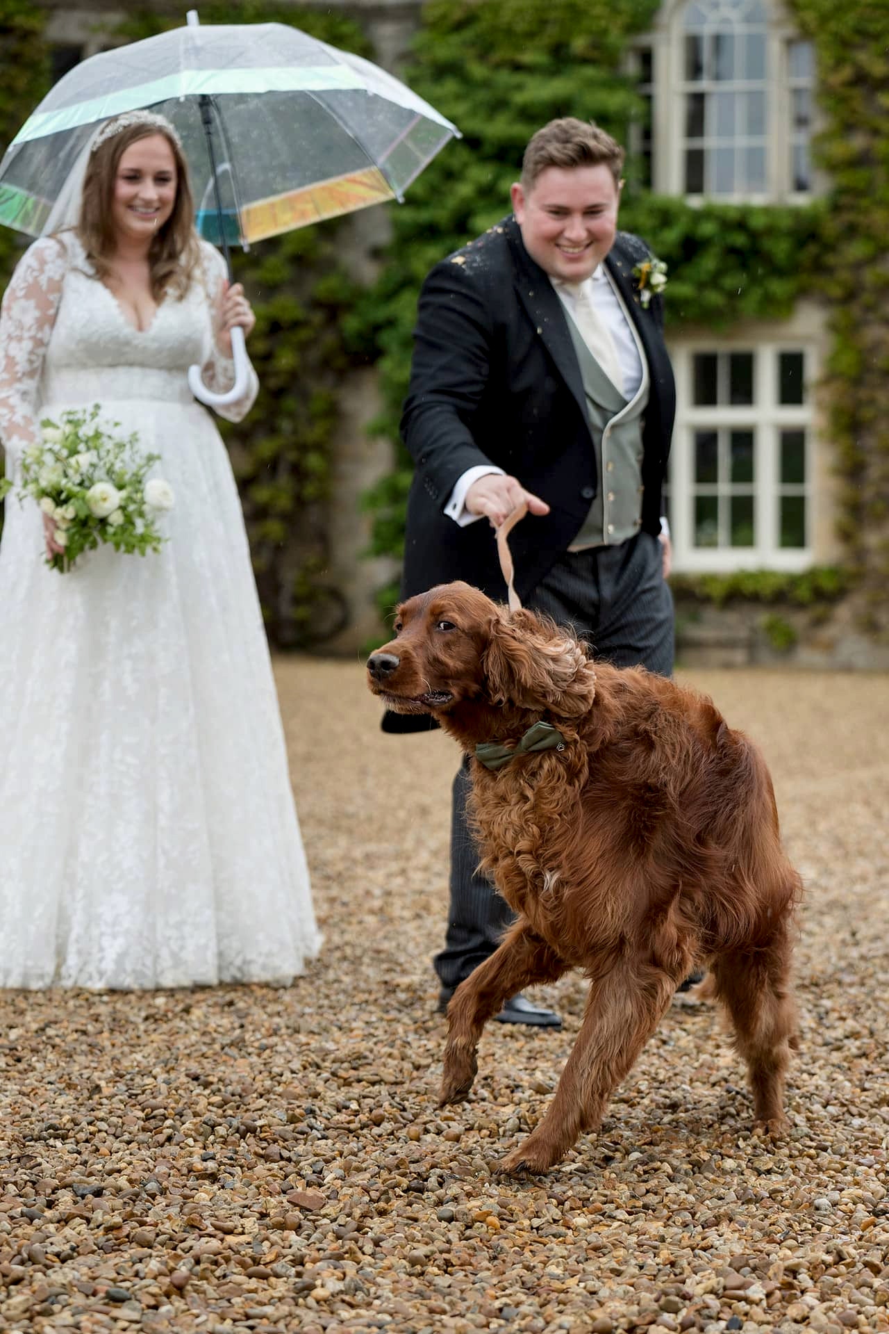 Bride and groom with their Irish red setter dog outside Exton Park Hall