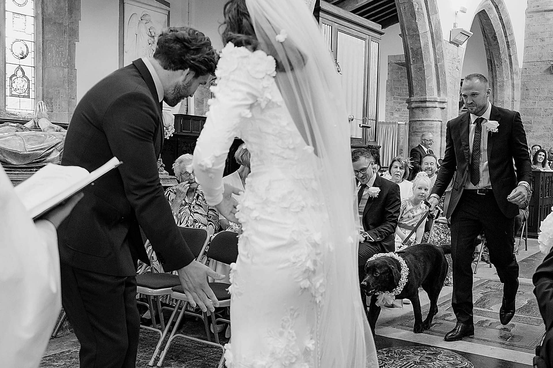 The couple's ring bearer dog walking down the aisle with the best man