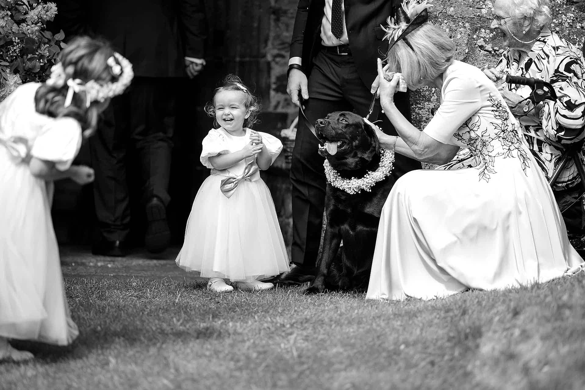 A little flower girl looking delighted to meet the bride and groom's dog