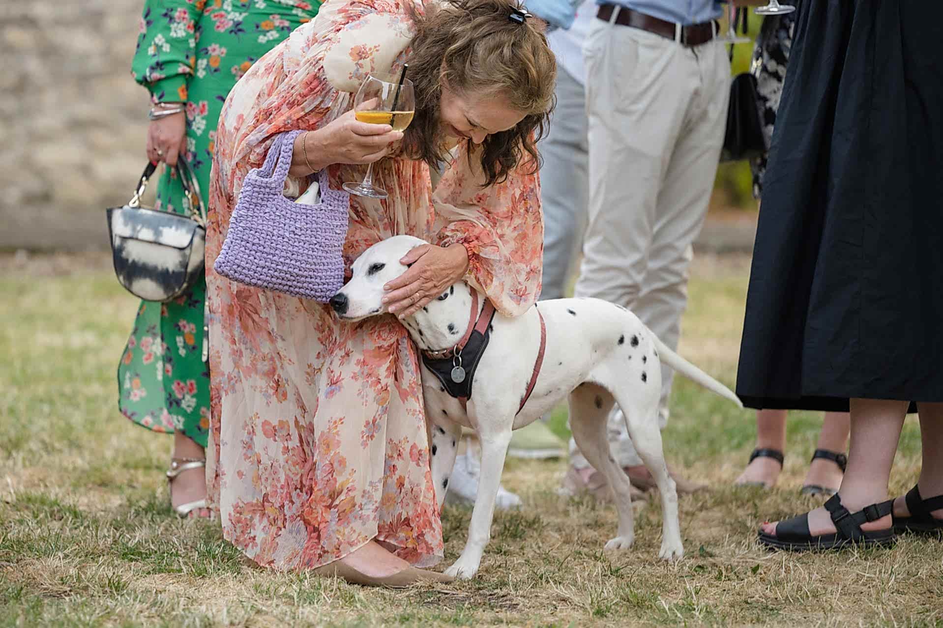 A wedding guests making a fuss of a dalmation dog at a wedding at Notley Abbey